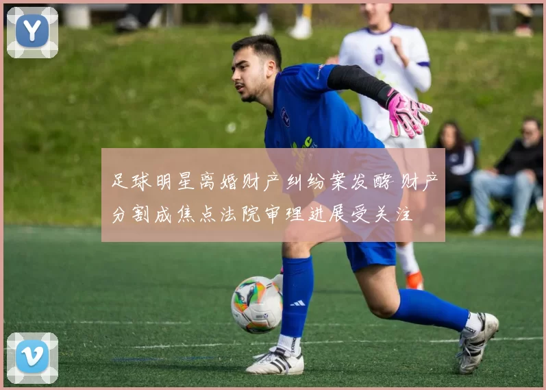 足球明星离婚财产纠纷案发酵 财产分割成焦点法院审理进展受关注